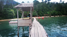 Liburan ke Pantai Ora, Maluku - Paket liburan ke Pantai Ora