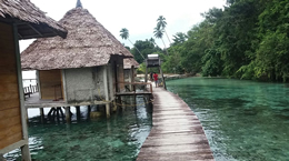 Liburan ke Pantai Ora, Maluku - Paket liburan ke Pantai Ora