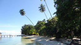 Liburan ke Pantai Ora, Maluku - Paket liburan ke Pantai Ora
