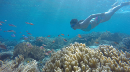Liburan ke Pantai Ora, Maluku - Paket liburan ke Pantai Ora